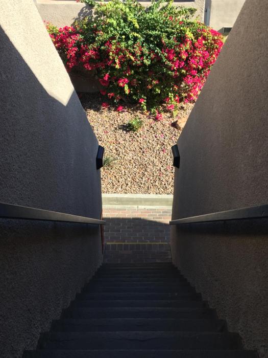 palm springs