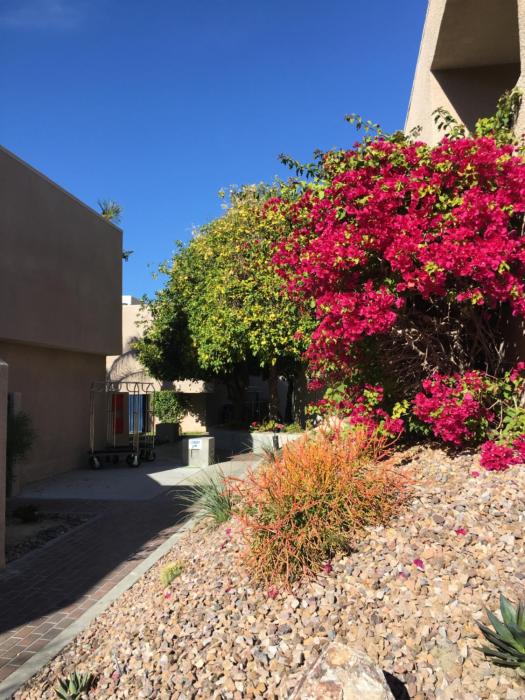 palm springs