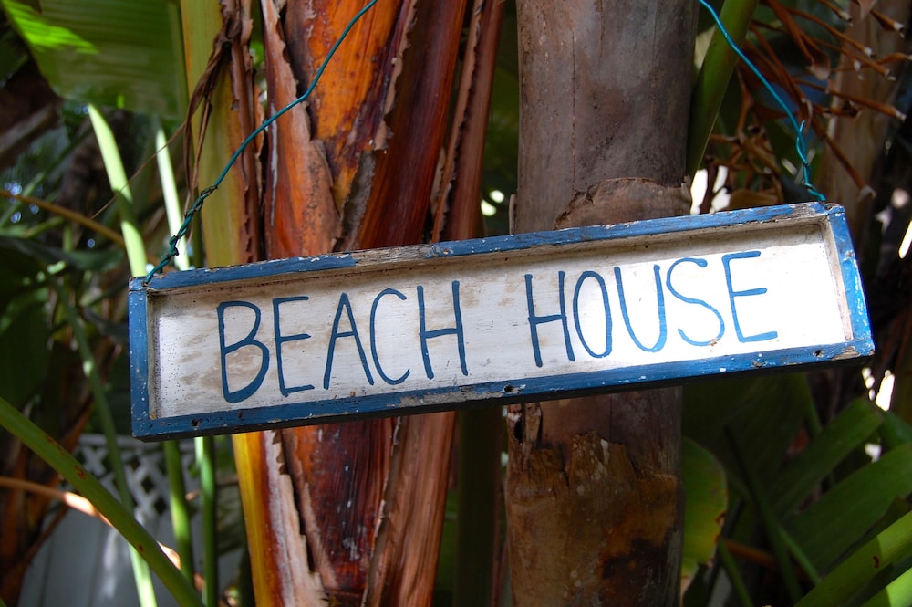siesta palms by the beach