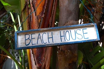 siesta palms by the beach