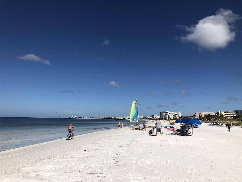 siesta palms by the beach