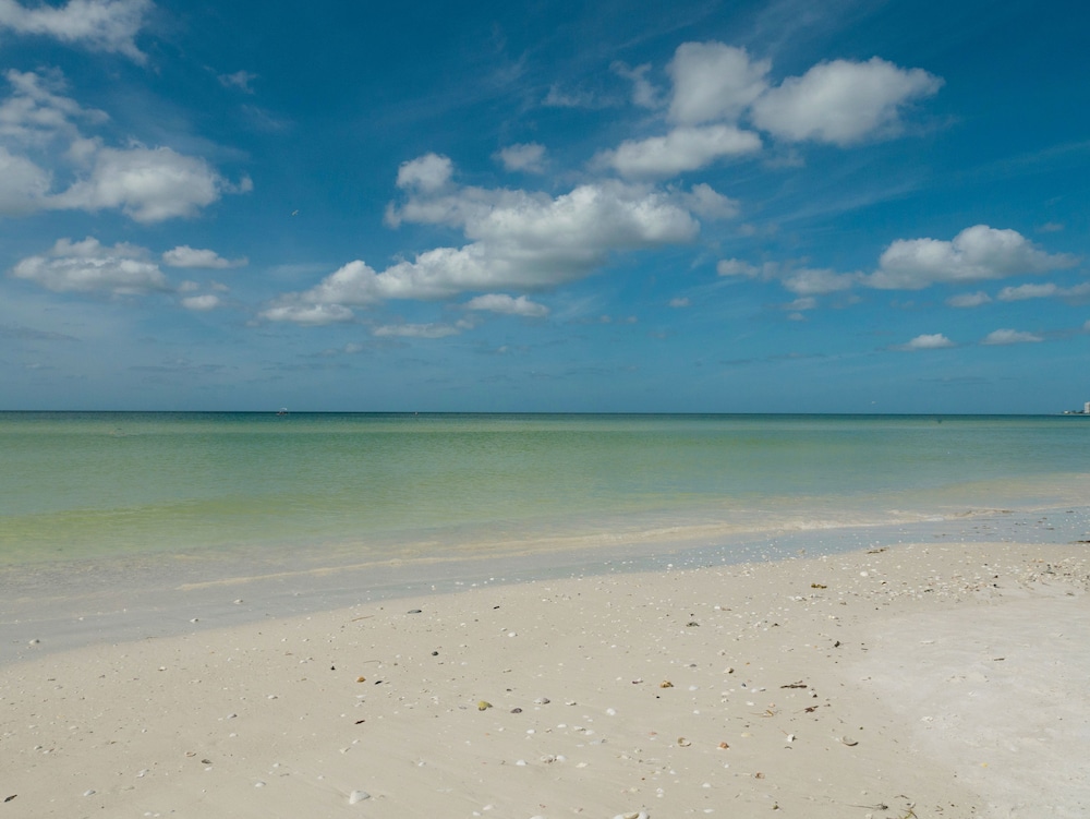 siesta palms by the beach