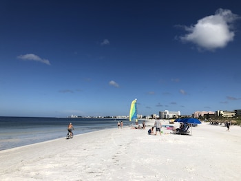 siesta palms by the beach
