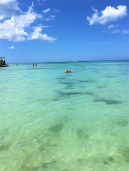 siesta palms by the beach