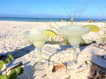siesta palms by the beach