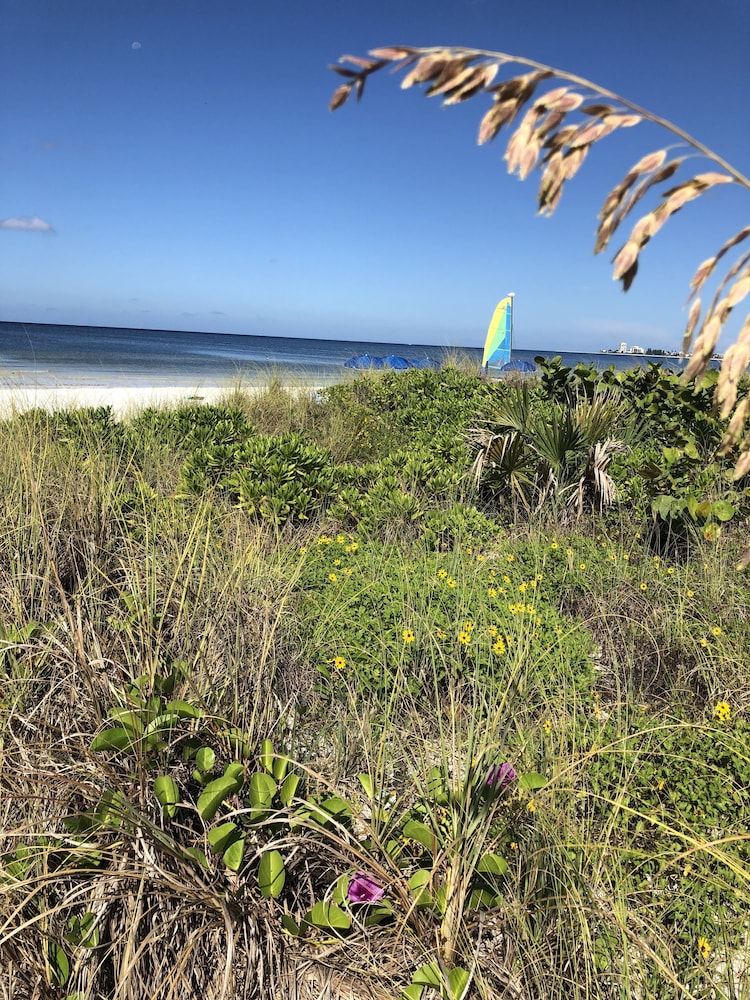 siesta key