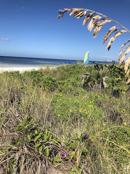 siesta key