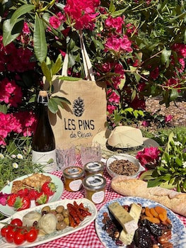 hotel spa les pins de cesar