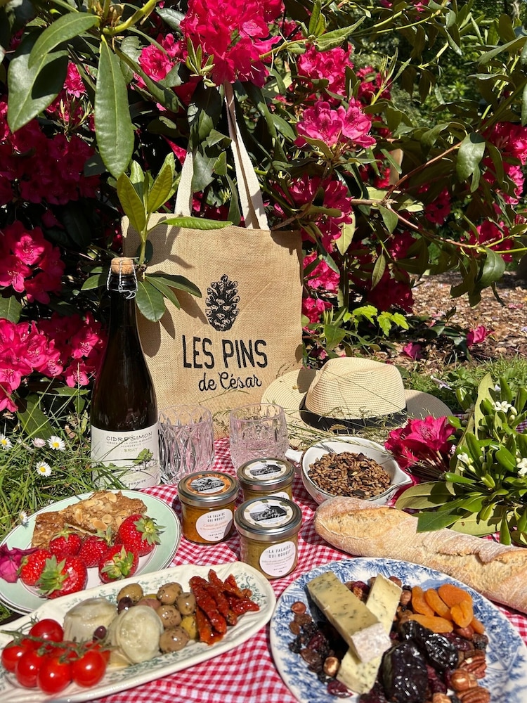 hotel spa les pins de cesar
