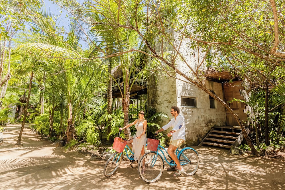 tulum vida silvestre cabaa as eco friendly