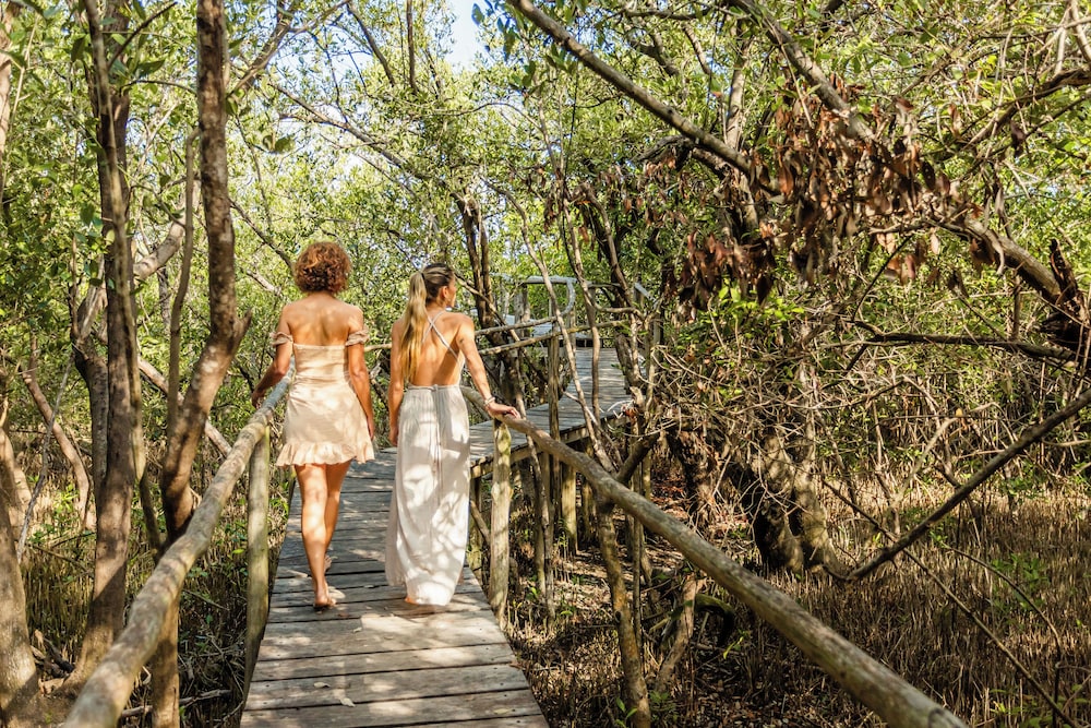 tulum vida silvestre cabaa as eco friendly