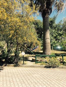 hotel ristorante la mimosa