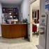 lamezia terme