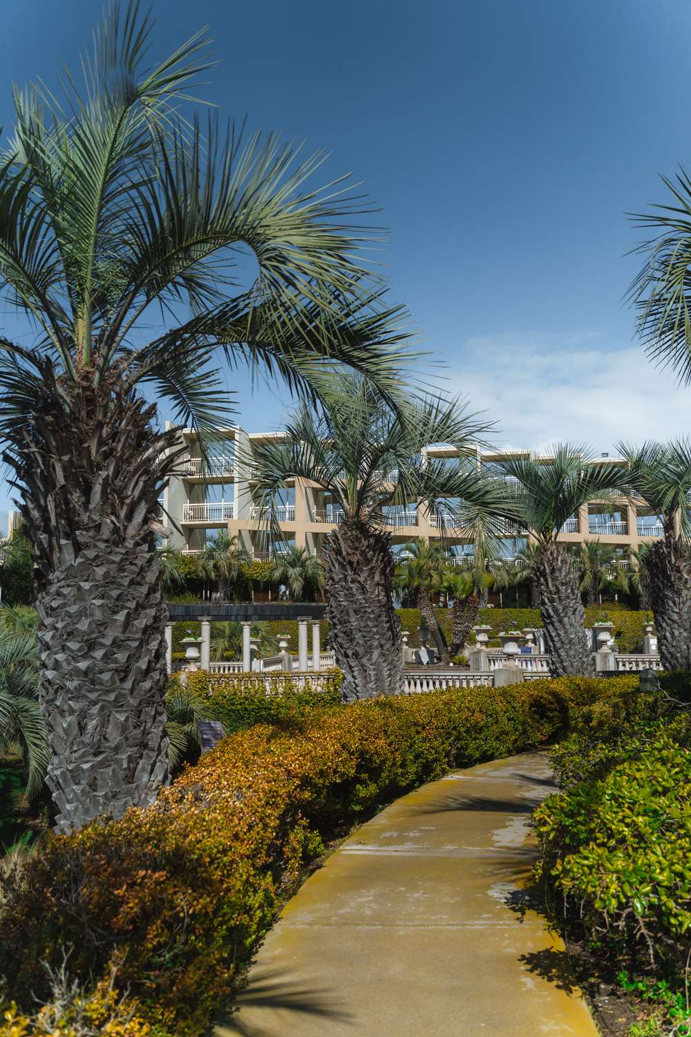 hilton la jolla torrey pines