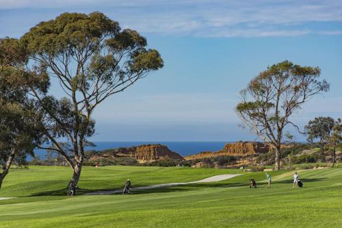 hilton la jolla torrey pines
