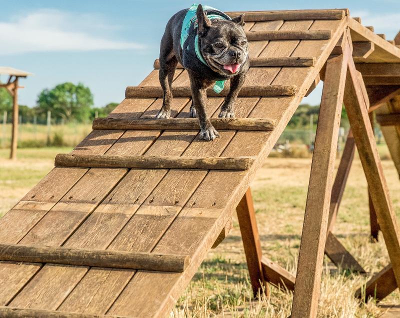 castiglione della pescaia