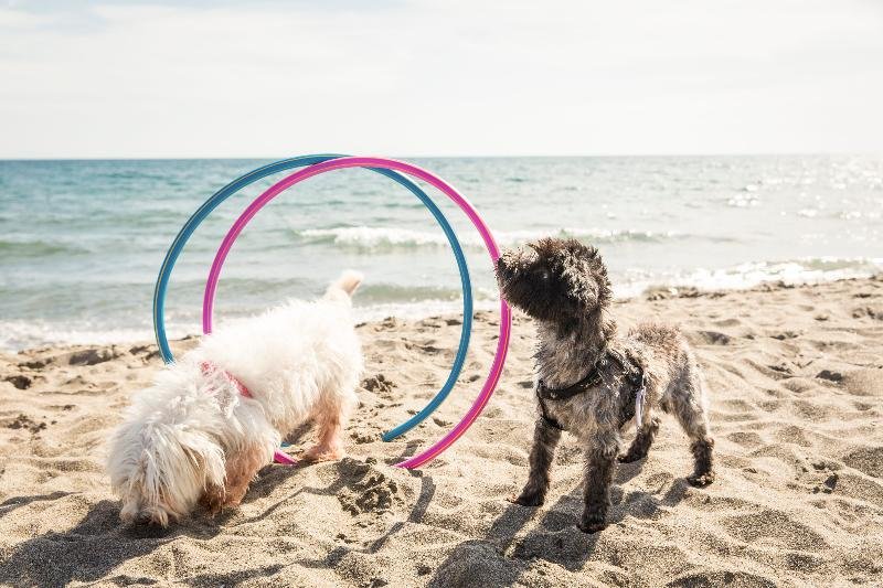 castiglione della pescaia