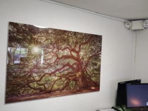 dogwood inn and suites