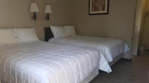 dogwood inn and suites