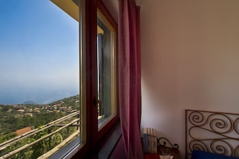 fattoria terranova