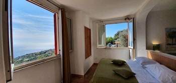 fattoria terranova