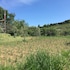 fattoria terranova