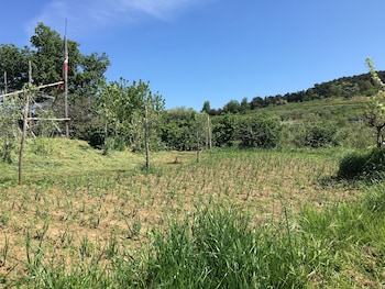 fattoria terranova