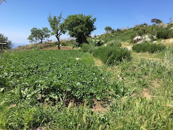 fattoria terranova