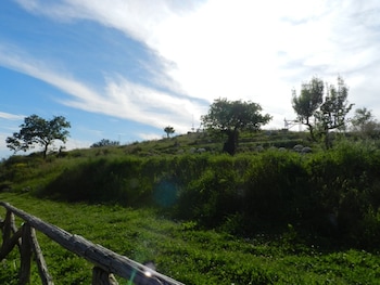 fattoria terranova