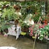 massa lubrense