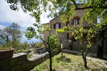 fattoria terranova
