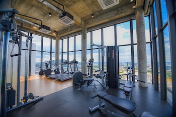 ekocheras suite