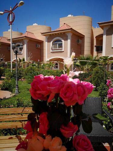meral oasis resort for hotel villas