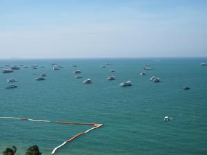 hermann hotel pattaya sha extra plus