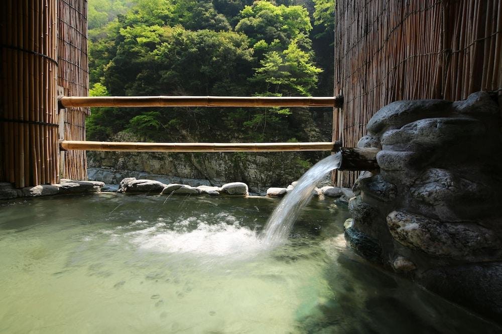nano yado hotel iya onsen