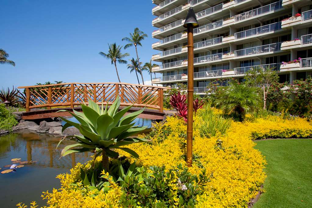 aston at the whaler on kaanapali beach