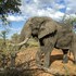 ezulwini game lodges