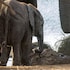 ezulwini game lodges