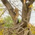 ezulwini game lodges