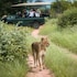 ezulwini game lodges