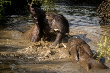 ezulwini game lodges
