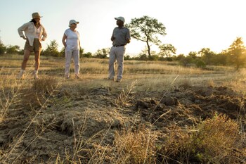 ezulwini game lodges