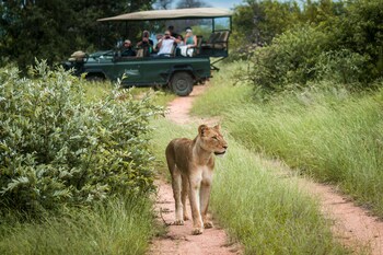 ezulwini game lodges