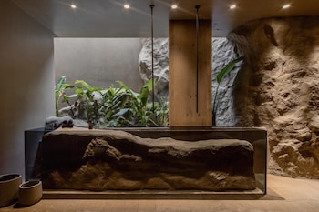 acro wellness suites adults only