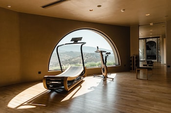 acro wellness suites adults only