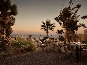 acro wellness suites adults only