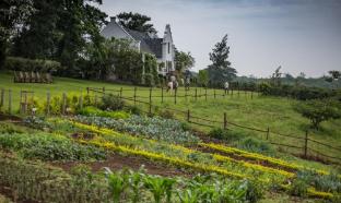 elewana the manor ngorongoro