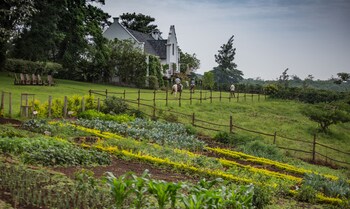 elewana the manor ngorongoro
