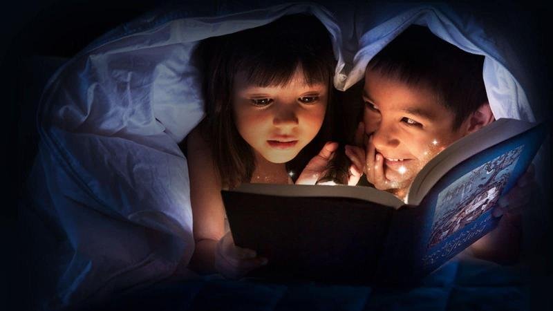 efteling wonder hotel theme park tickets included