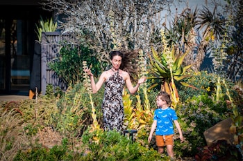 Valley Lodge - Babanango Game Reserve,,3.5 star